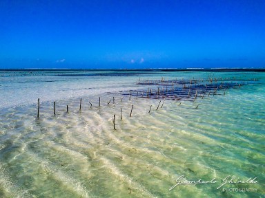 2015-08-04_zanzibar-0103.jpg