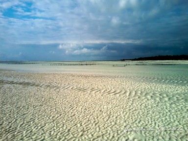 2015-08-04_zanzibar-0126.jpg