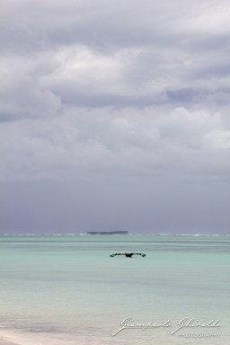 2015-08-04_zanzibar-7005.jpg