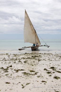 2015-08-04_zanzibar-7013.jpg