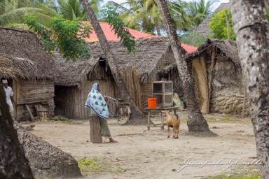 2015-08-04_zanzibar-7118.jpg