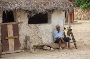 2015-08-04_zanzibar-7120.jpg