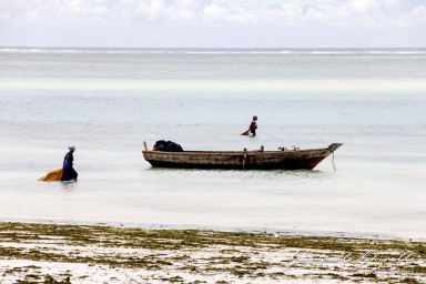 2015-08-04_zanzibar-7135.jpg