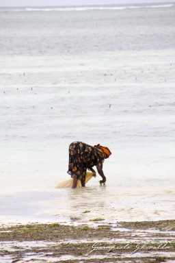 2015-08-04_zanzibar-7149.jpg