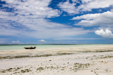 2015-08-04_zanzibar-7198.jpg