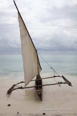 2015-08-04_zanzibar-7511.jpg