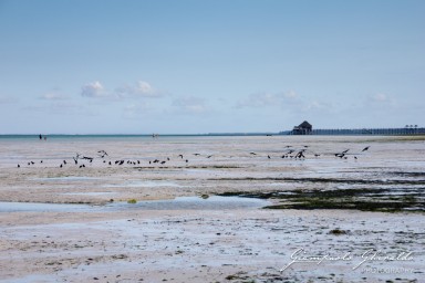 2015-08-04_zanzibar-7520.jpg