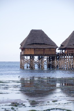 2015-08-04_zanzibar-7525.jpg