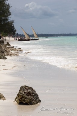 2015-08-04_zanzibar-7702.jpg