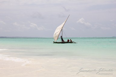 2015-08-04_zanzibar-7708.jpg