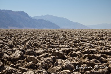 20110805_USA_0634.jpg