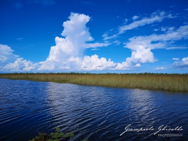 2018-08-22-_Florida_162624.jpg