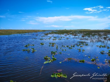 2018-08-22-_Florida_162635.jpg