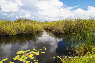 2018-08-22_Florida-5096.jpg