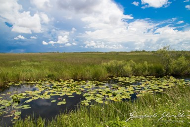 2018-08-22_Florida-5098.jpg