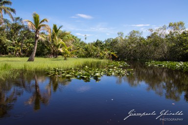 2018-08-22_Florida-5123.jpg