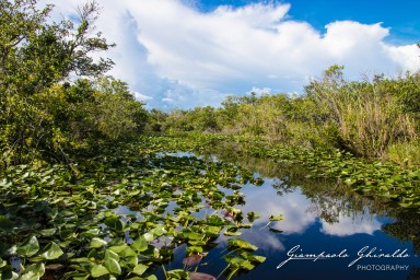 2018-08-22_Florida-5157.jpg