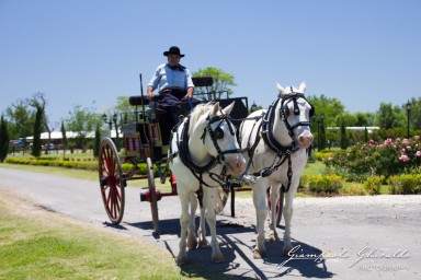 20141130_Buenos_Aires_6683.jpg