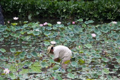 20111002_Bali_2000.jpg