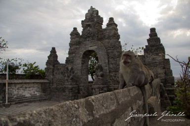 20111002_Bali_2042.jpg