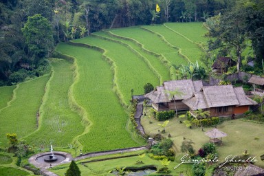 20111002_Bali_2208.jpg