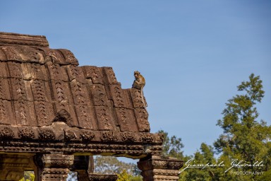 2023-11-18_Siem_Reap-4642.jpg