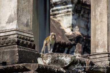 2023-11-18_Siem_Reap-4645.jpg