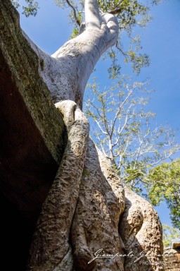 2023-11-18_Siem_Reap-4730.jpg