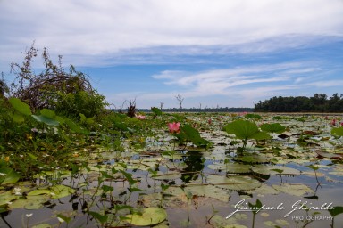 2023-11-19_Siem_Reap-4999.jpg