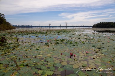 2023-11-19_Siem_Reap-5003.jpg