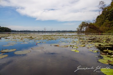 2023-11-19_Siem_Reap-5004.jpg