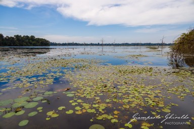 2023-11-19_Siem_Reap-5006.jpg