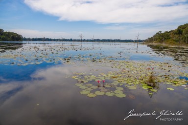 2023-11-19_Siem_Reap-5008.jpg