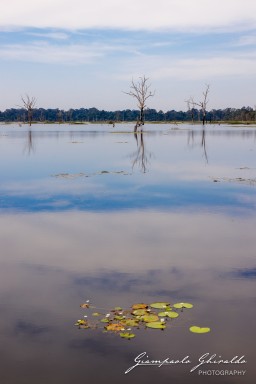 2023-11-19_Siem_Reap-5013.jpg