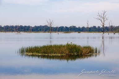 2023-11-19_Siem_Reap-5014.jpg