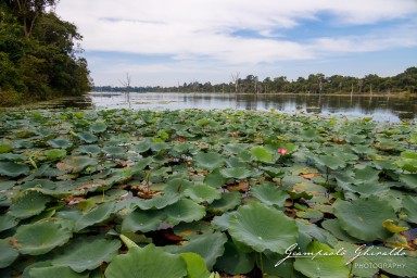 2023-11-19_Siem_Reap-5031.jpg