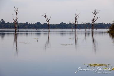 2023-11-19_Siem_Reap-5036.jpg