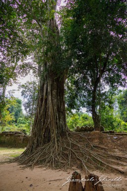 2023-11-19_Siem_Reap-5047.jpg