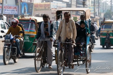 20101204_Delhi_e_Agra_10404.jpg