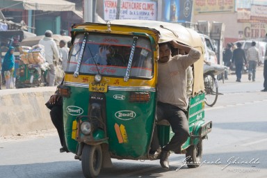 20101204_Delhi_e_Agra_10409.jpg