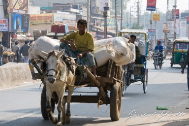 20101204_Delhi_e_Agra_10420.jpg