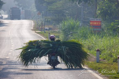 2023-11-29_Vietnam-6880.jpg