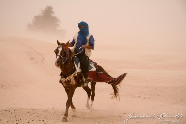 20060524_Djerba_3152.jpg