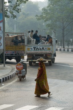 20101204_Delhi_e_Agra_09990.jpg