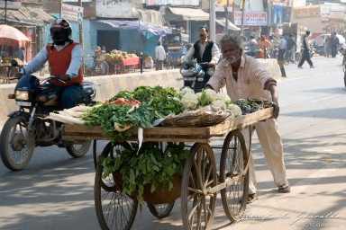 20101204_Delhi_e_Agra_10400.jpg