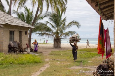 2015-08-04_zanzibar-7116.jpg