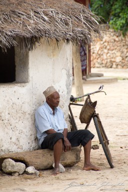 2015-08-04_zanzibar-7119.jpg