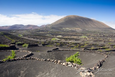 20140804_Fuerteventura_6215.jpg