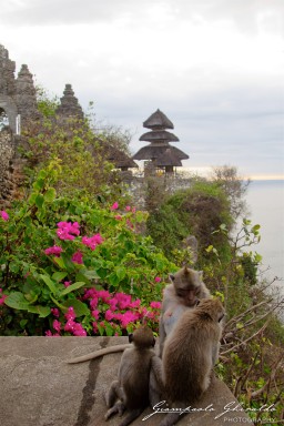 20111002_Bali_.jpg