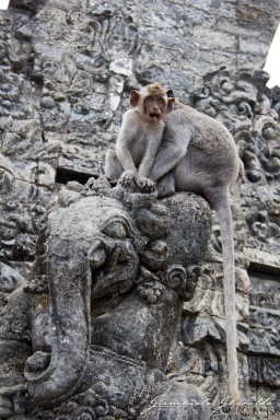 20111002_Bali_2036.jpg